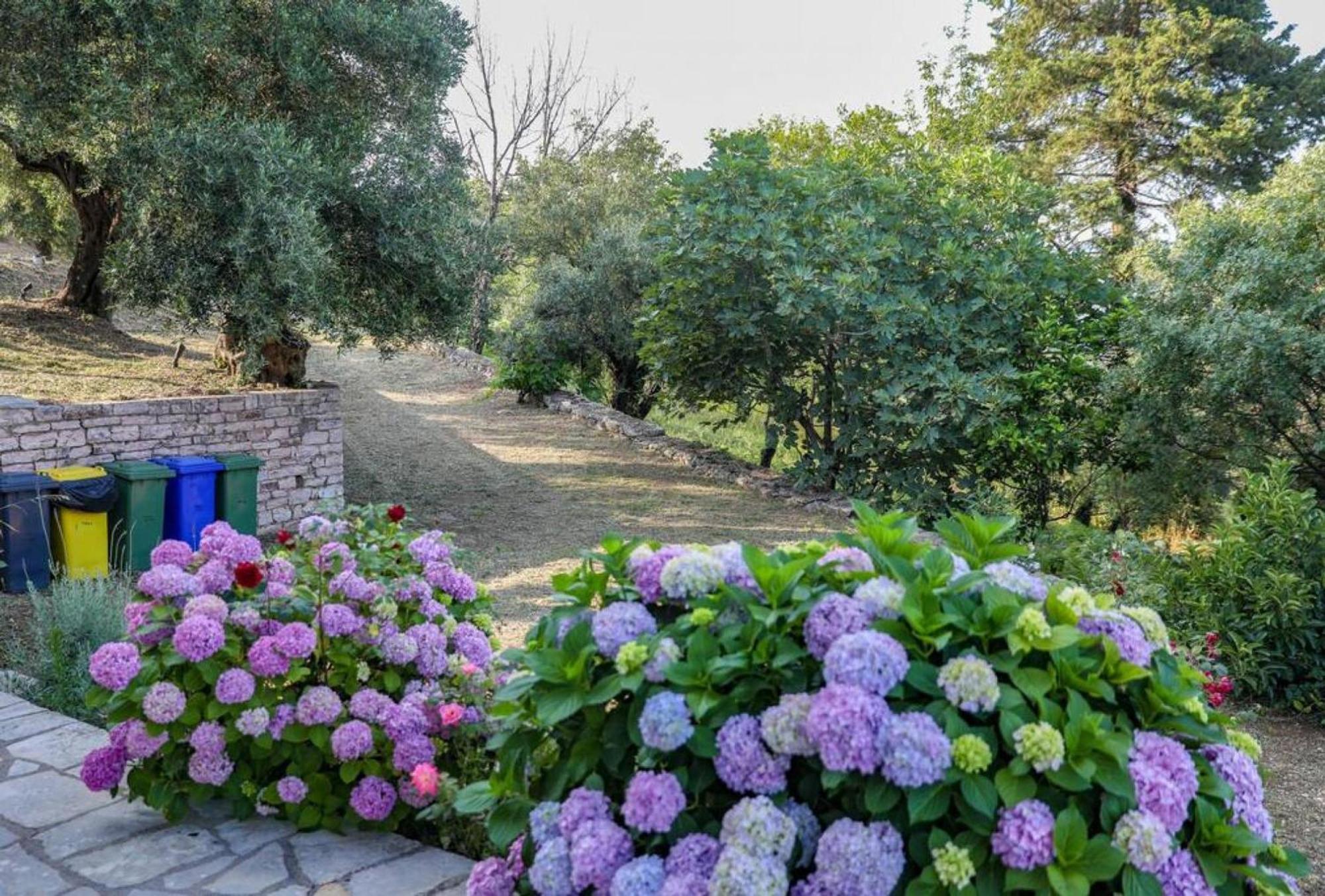 Sinies Stone Cottage - Ne Corfu Agnítsini Buitenkant foto
